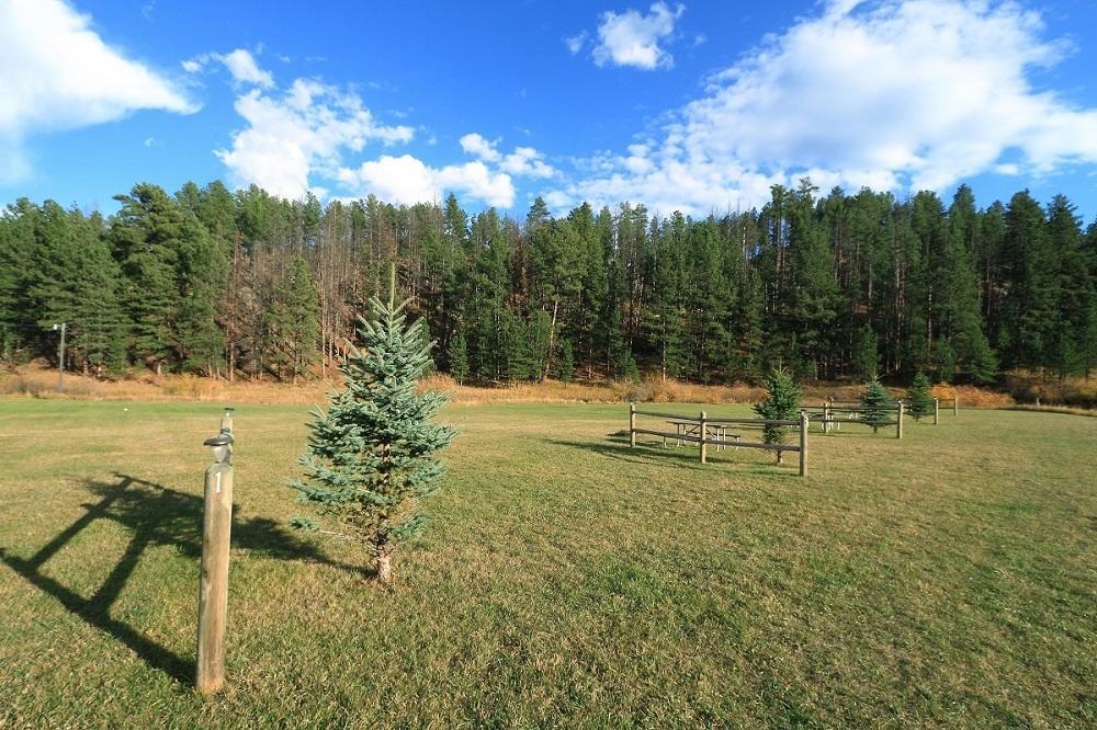 Black Elk Resort Hill City Pokój zdjęcie